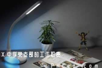 x中学党支部的工作职责