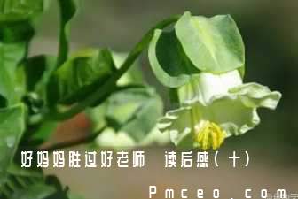 《好妈妈胜过好老师》读后感（十）