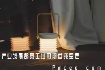 产业发展部员工试用期自我鉴定