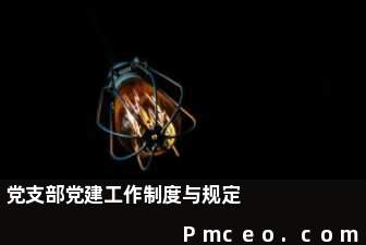 党支部党建工作制度与规定