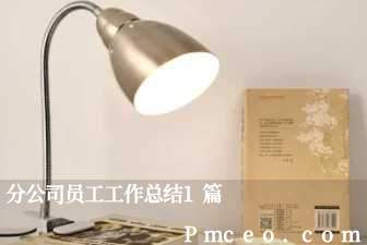 分公司员工工作总结1篇