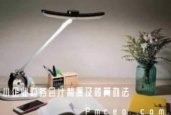 小企业财务会计制度及核算办法