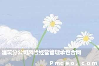 建筑分公司风险经营管理承包合同