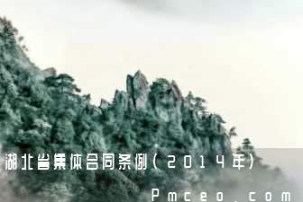 湖北省集体合同条例（2014年）