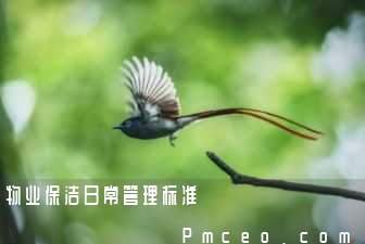 物业保洁日常管理标准