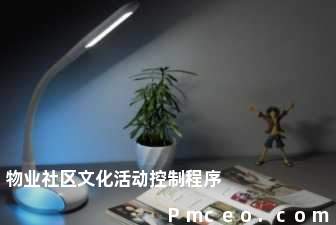 物业社区文化活动控制程序