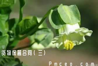 货物保管合同(三)